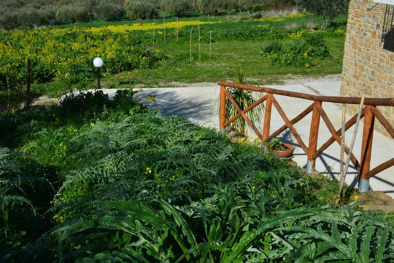 Affittacamere Casale Dionisia Castellabate Esterno foto